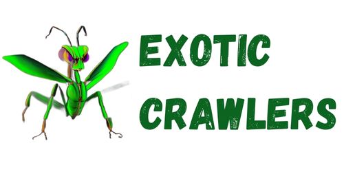 exoticcrawlers.com